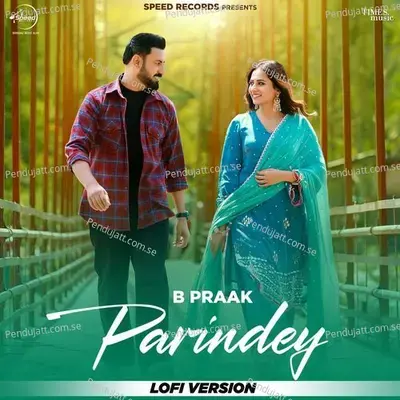 Parindey - B Praak album cover 