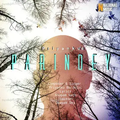 Parindey - Priyanku Bordoloi album cover 