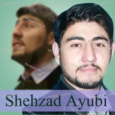 Pario Xur Ma Ghecha Too - Shehzad Ayubi album cover 