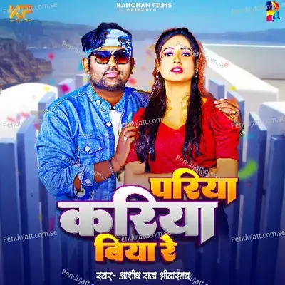 Pariya Kariya Biya Re - Aashish Raj Shrivastava album cover 