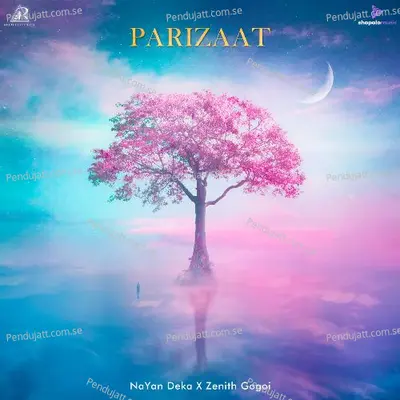 Parizaat - Nayan Deka album cover 