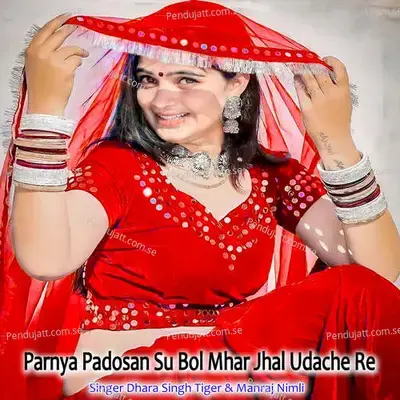 Parnya Padosan Su Bol Mhar Jhal Udache Re - Dhara Singh Tiger album cover 