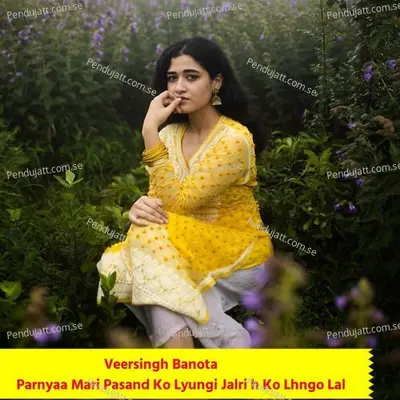 Parnyaa Mari Pasand Ko Lyungi Jalri H Ko Lhngo Lal - Veersingh Banota album cover 