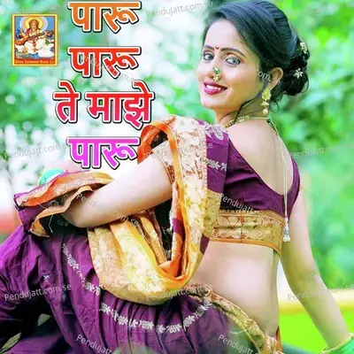 Paru Paru Te Majhe Paru - Shrikant Narayan album cover 