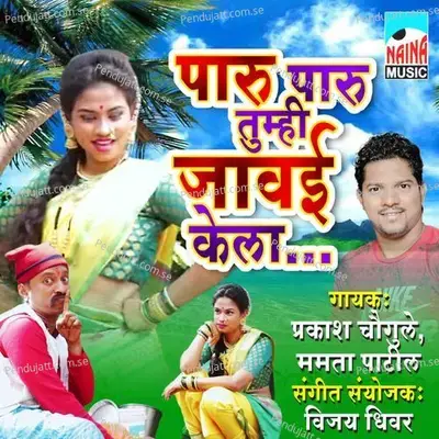 Paru Paru Tumi Javai Kela - Mamata Patil album cover 