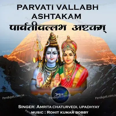 Parvati Vallabh Ashtakam - Amrita Chaturvedi album cover 