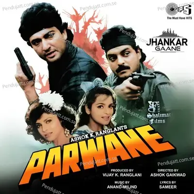 Parwane (Jhankar; Original Motion Picture Soundtrack) - Anand-Milind cover album