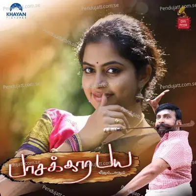 Nenjellam Thithikude - Anitha Karthikeyan album cover 