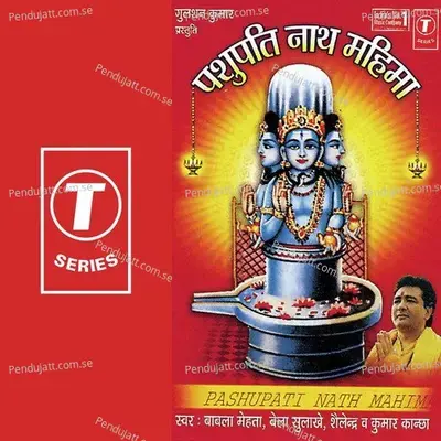 Chhae Sukh Mein Raho - Shekhar Sen album cover 