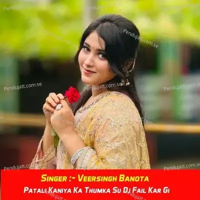 Patali Kaniya Ka Thumka Su Dj Fail Kar Gi - Veersingh Banota album cover 