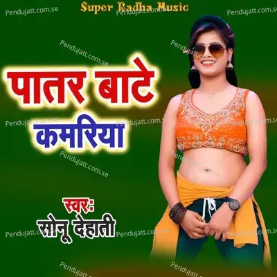 Patar Bate Kamariya - Sonu Dehati album cover 