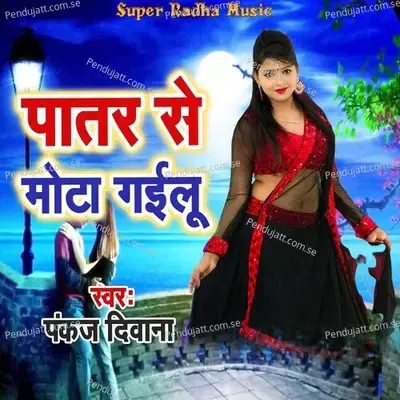 Patar Se Mota Gailu - Pankaj Diwana album cover 