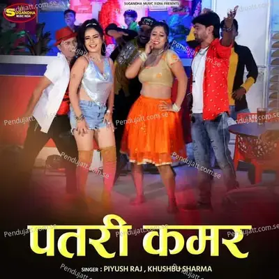 Patari Kamar - Piyush Raj album cover 