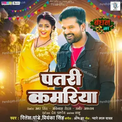 Patari Kamariya - Ritesh Pandey album cover 