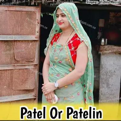 Patel Or Patelin - Vishnu Meena album cover 