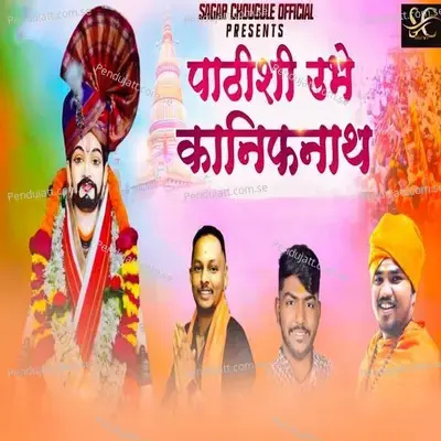 Pathishi Ubhe Kanifnath - Aakash Shinde album cover 