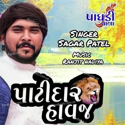 Patidar Havaj - Sagar Patel album cover 