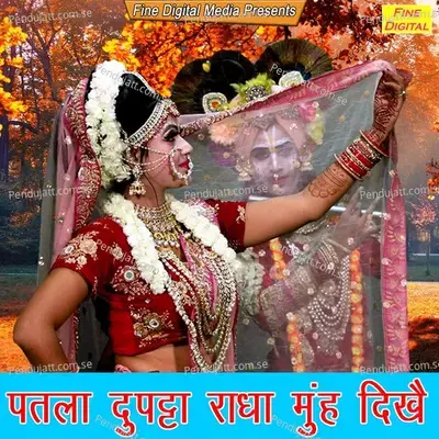 Patla Dupatta Radha Muh Dikhe - Sheela album cover 