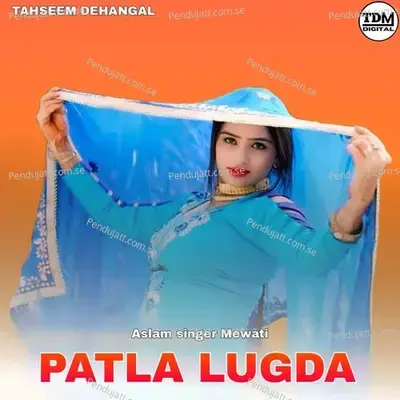 Patla Lugda - Aslam Singer Mewati album cover 