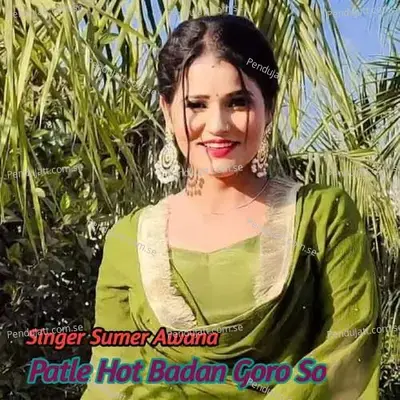 Patle Hot Badan Goro So - Sumer Awana album cover 