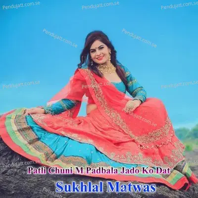 Patli Chuni M Padbala Jado Ko Dat - Sukhlal Matwas album cover 