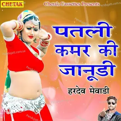 Patli Kamar Ki Janudee - Hardev Mewadi album cover 