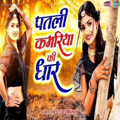 Patli Kamariya Ki Dhar - Neetu Tomar album cover 