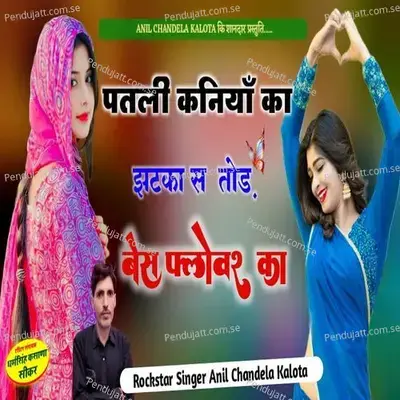 Patli Kaniya Ka Jatka Su Tod Bes Flovar Ka - Anil Chandela album cover 