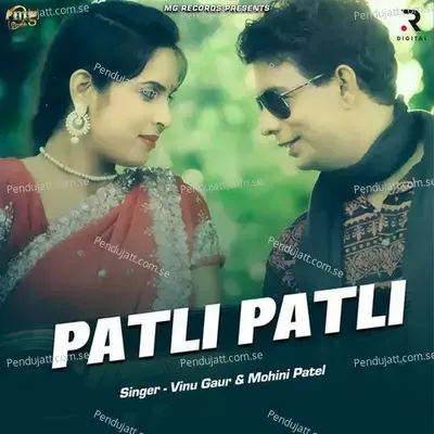 Patli Patli - Vinu Gaur album cover 