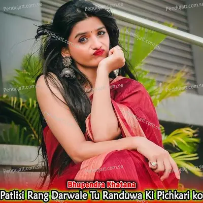 Patlisi Rang Darwale Tu Randuwa Ki Pichkari Ko - Bhupendra Khatana album cover 