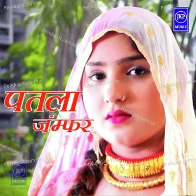 Patlo Jamfar - Wasim Akram Alwar album cover 