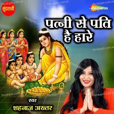 Patni Se Pati He Hare - Shahnaz Akhtar album cover 