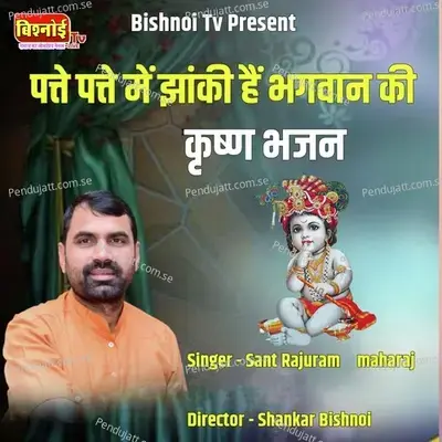 Patte Patte Me Jhanki Hain Bhagwan Ki Krishna Bhajan - Sant Rajuram Maharaj album cover 