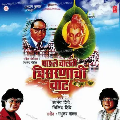 Bheem Jayanticha That - Anand Shinde album cover 