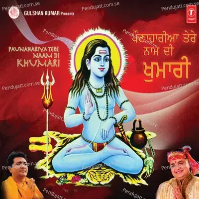 Pauna Hariya Deewani Tere Naam Di - Amit Kumar album cover 