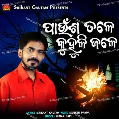 Paunsa Tale Kuhuli Jale - Kumar Bapi album cover 