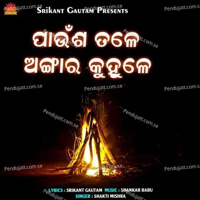 Paunsha Tale Angara Kuhule - Shakti Mishra album cover 