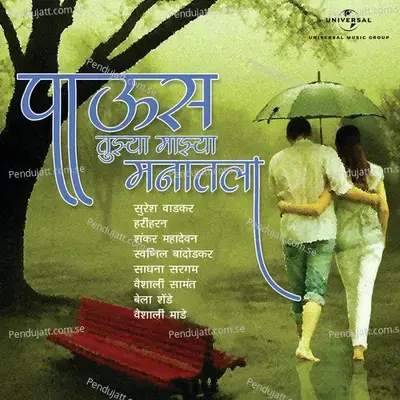 Zimmad Maandat - Mangesh Chavan album cover 