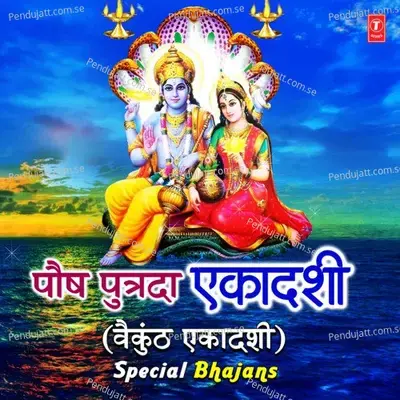 Hari Naam Tu Japle Re Pyare - Kumar Vishu album cover 