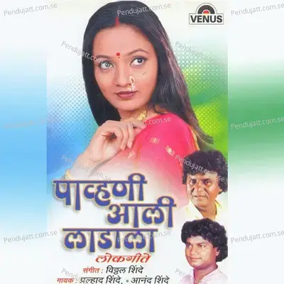 Barfi Ladu Gulab Jamu - Vitthal Shinde album cover 