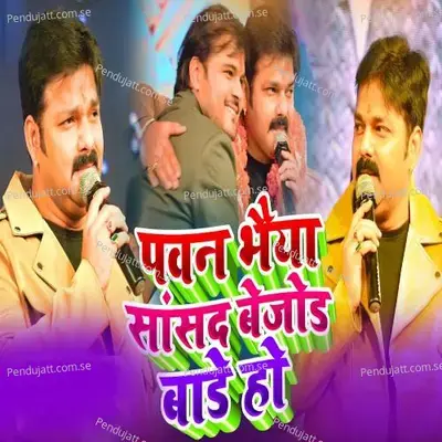 Pawan Bhaiya Sansad Bejod Bade Ho - Ritu Raj Sunny album cover 