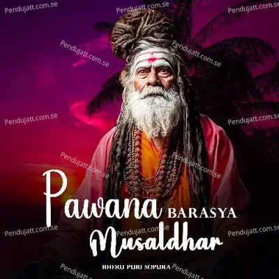 Pawana Barasya Musaldhar - Bheru Puri Sopura album cover 