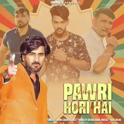 Pawri Hori Hai - Vinu Gaur album cover 