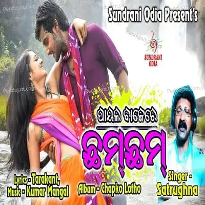 Payal Bajere Chham Chham - Satrughna album cover 