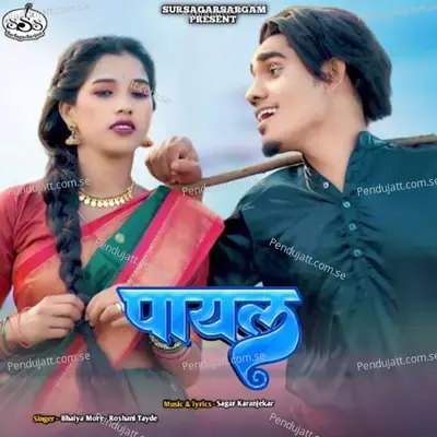 Payal - Bhaiya More album cover 