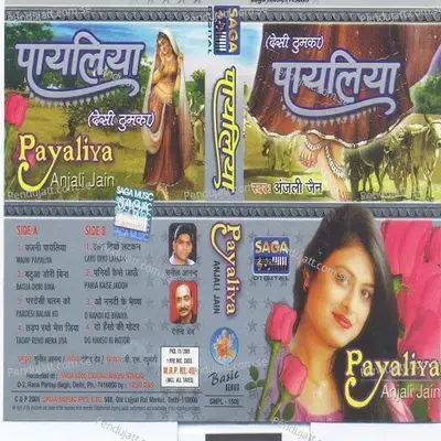 Pania Kaise Jaoon - Anjali Jain album cover 