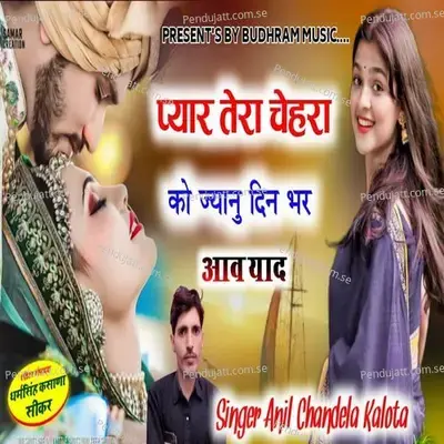 Payar Tera Chera Ko Jayanu Din Bar Aav Yad - Anil Chandela album cover 