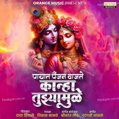 Payat Painjan Vajate Kanha Tujhyamule - Vikas Salve album cover 