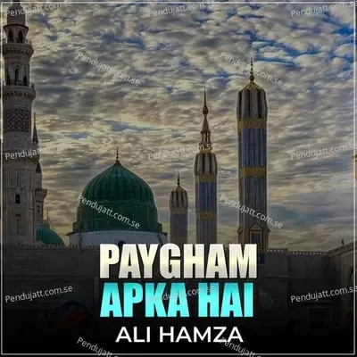 Paygham Apka Hai - Ali Hamza album cover 