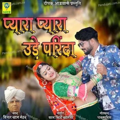 Payra Payra Ude Parida - Bijal Khan Mehar album cover 